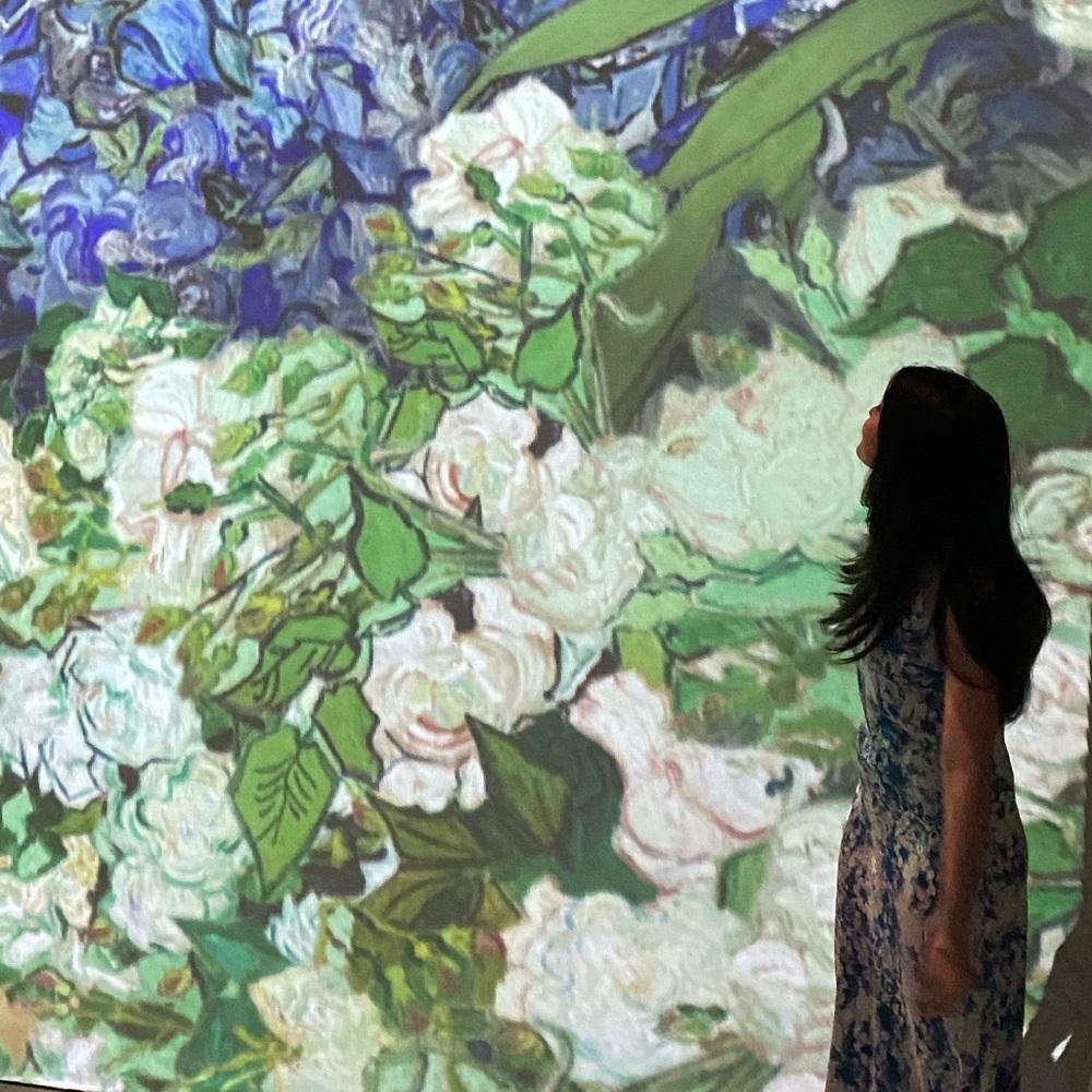 Meet your Posher, Lin